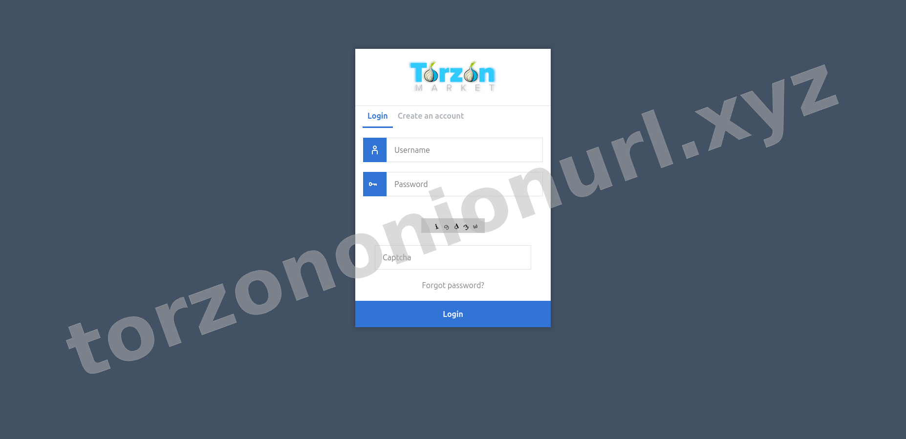 User Login Interface
